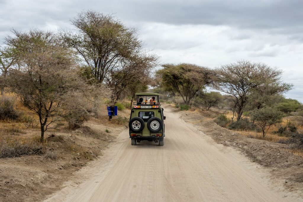 Safari in one of the national parks in East Africa